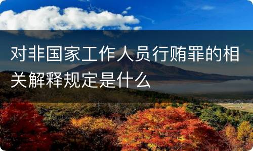 对非国家工作人员行贿罪的相关解释规定是什么