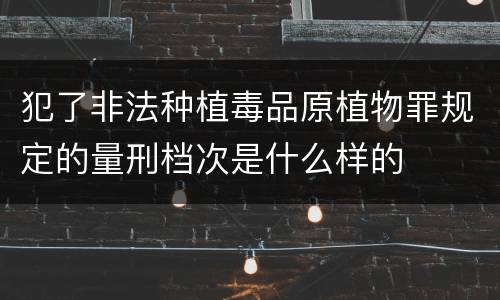 犯了非法种植毒品原植物罪规定的量刑档次是什么样的