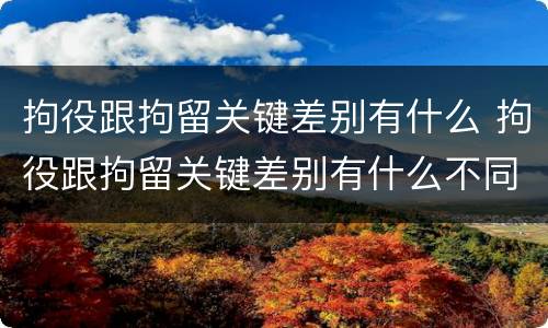 拘役跟拘留关键差别有什么 拘役跟拘留关键差别有什么不同