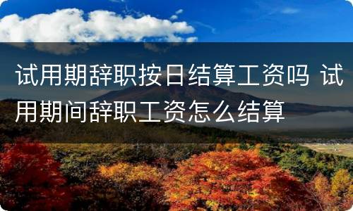 试用期辞职按日结算工资吗 试用期间辞职工资怎么结算