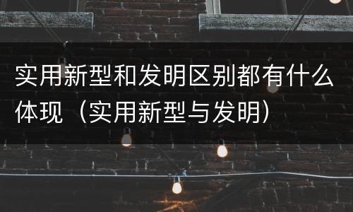 实用新型和发明区别都有什么体现（实用新型与发明）