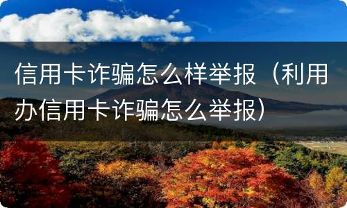 信用卡诈骗怎么样举报（利用办信用卡诈骗怎么举报）