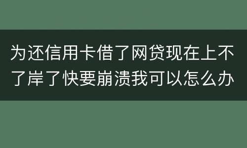 为还信用卡借了网贷现在上不了岸了快要崩溃我可以怎么办