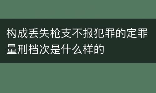 构成丢失枪支不报犯罪的定罪量刑档次是什么样的