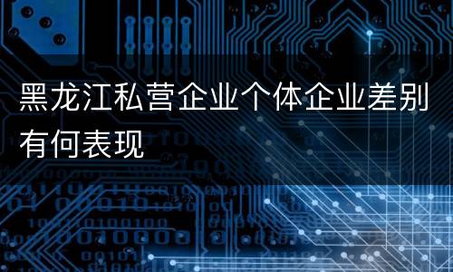 黑龙江私营企业个体企业差别有何表现