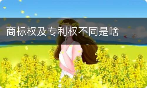商标权及专利权不同是啥