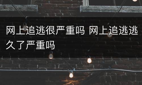 网上追逃很严重吗 网上追逃逃久了严重吗