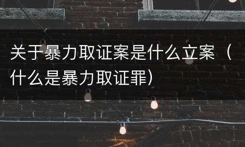关于暴力取证案是什么立案（什么是暴力取证罪）
