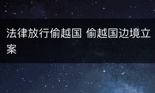 法律放行偷越国 偷越国边境立案