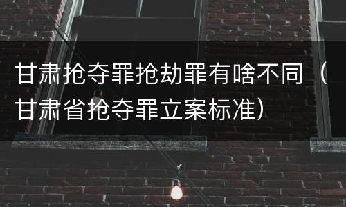 甘肃抢夺罪抢劫罪有啥不同（甘肃省抢夺罪立案标准）