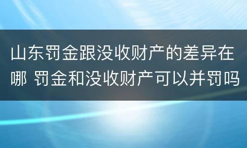 山东罚金跟没收财产的差异在哪 罚金和没收财产可以并罚吗
