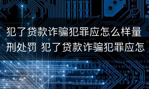 犯了贷款诈骗犯罪应怎么样量刑处罚 犯了贷款诈骗犯罪应怎么样量刑处罚案例