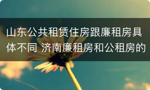 山东公共租赁住房跟廉租房具体不同 济南廉租房和公租房的区别