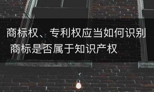 商标权、专利权应当如何识别 商标是否属于知识产权