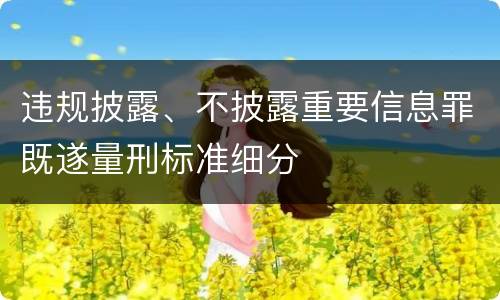 违规披露、不披露重要信息罪既遂量刑标准细分