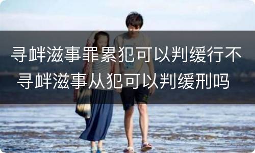 寻衅滋事罪累犯可以判缓行不 寻衅滋事从犯可以判缓刑吗