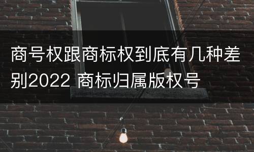 商号权跟商标权到底有几种差别2022 商标归属版权号