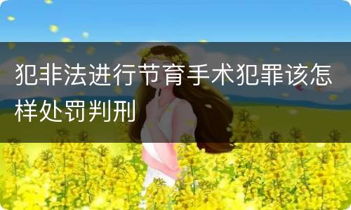 犯非法进行节育手术犯罪该怎样处罚判刑