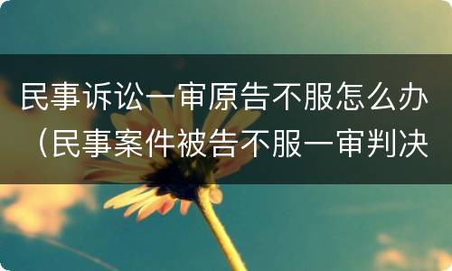 民事诉讼一审原告不服怎么办（民事案件被告不服一审判决怎么办）