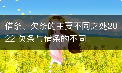 借条、欠条的主要不同之处2022 欠条与借条的不同