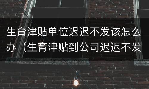 生育津贴单位迟迟不发该怎么办（生育津贴到公司迟迟不发怎么办）