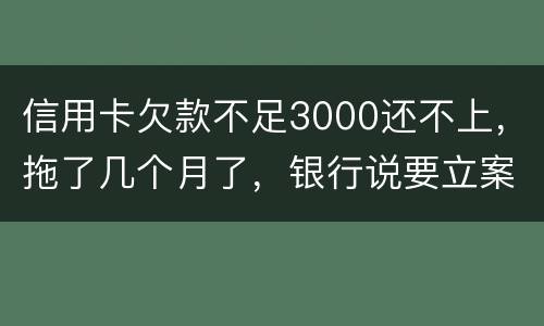 信用卡欠款不足3000还不上，拖了几个月了，银行说要立案，会坐牢吗