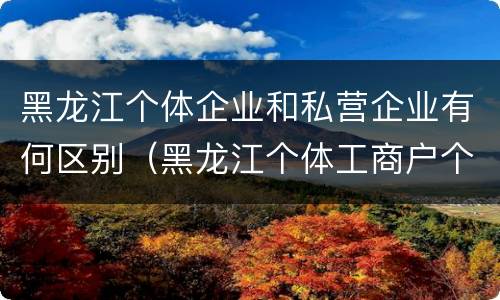 黑龙江个体企业和私营企业有何区别（黑龙江个体工商户个人所得税起征点）