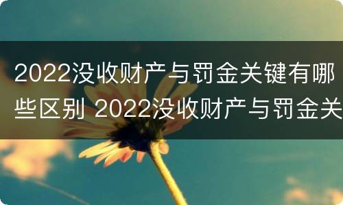 2022没收财产与罚金关键有哪些区别 2022没收财产与罚金关键有哪些区别和联系