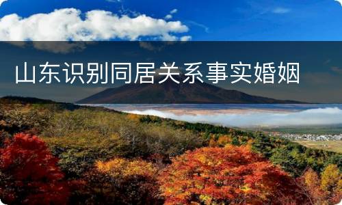 山东识别同居关系事实婚姻