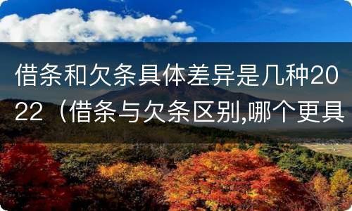 借条和欠条具体差异是几种2022（借条与欠条区别,哪个更具法律）