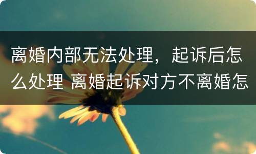 离婚内部无法处理，起诉后怎么处理 离婚起诉对方不离婚怎么办