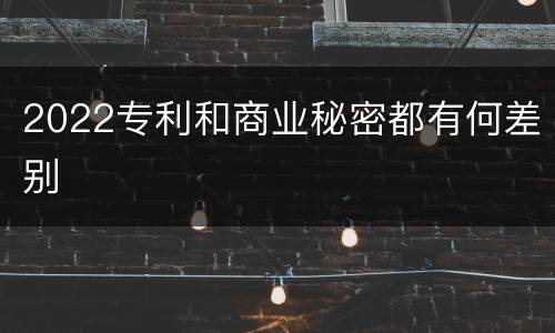 2022专利和商业秘密都有何差别