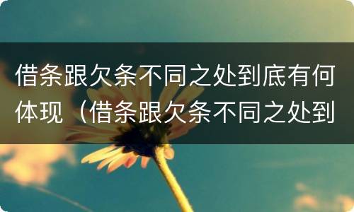 借条跟欠条不同之处到底有何体现（借条跟欠条不同之处到底有何体现呢）