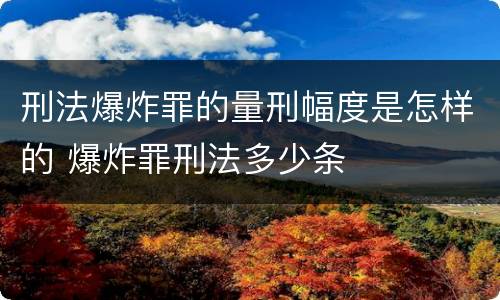 刑法爆炸罪的量刑幅度是怎样的 爆炸罪刑法多少条