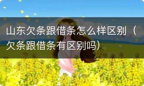 山东欠条跟借条怎么样区别（欠条跟借条有区别吗）