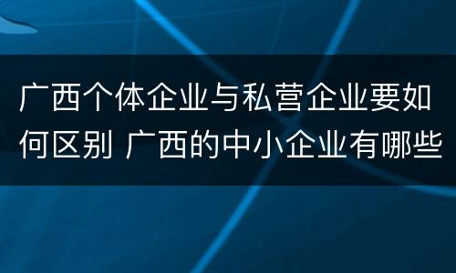 广西个体企业与私营企业要如何区别 广西的中小企业有哪些