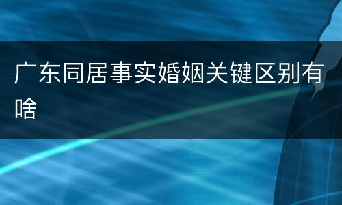 广东同居事实婚姻关键区别有啥