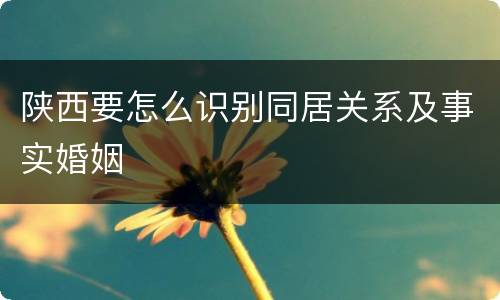 陕西要怎么识别同居关系及事实婚姻