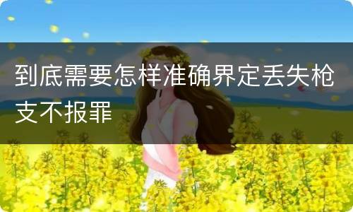 到底需要怎样准确界定丢失枪支不报罪