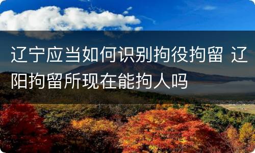 辽宁应当如何识别拘役拘留 辽阳拘留所现在能拘人吗