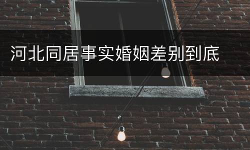 河北同居事实婚姻差别到底