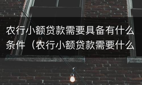 农行小额贷款需要具备有什么条件（农行小额贷款需要什么手续）