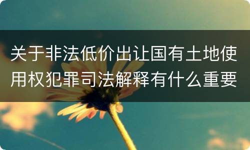 关于非法低价出让国有土地使用权犯罪司法解释有什么重要内容
