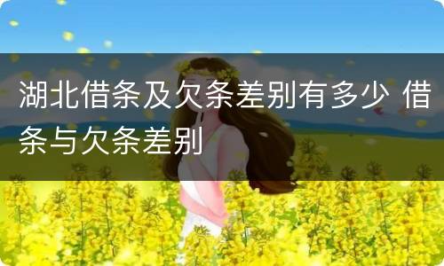 湖北借条及欠条差别有多少 借条与欠条差别