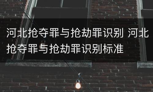 河北抢夺罪与抢劫罪识别 河北抢夺罪与抢劫罪识别标准