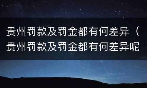 贵州罚款及罚金都有何差异（贵州罚款及罚金都有何差异呢）