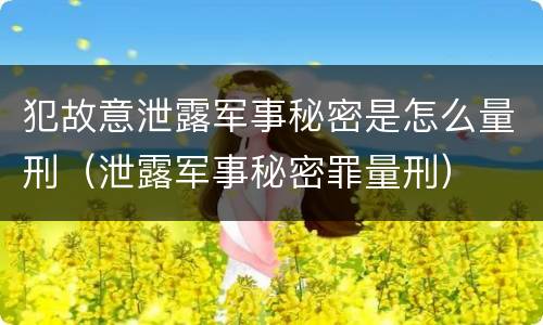 犯故意泄露军事秘密是怎么量刑（泄露军事秘密罪量刑）