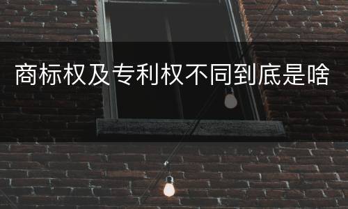 商标权及专利权不同到底是啥