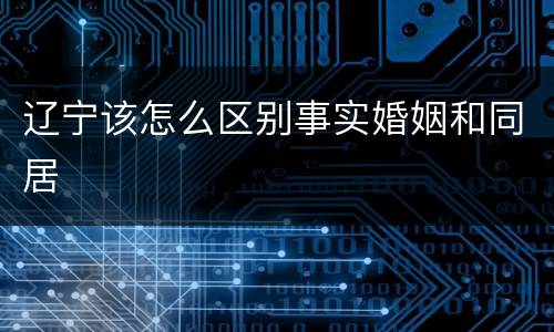 辽宁该怎么区别事实婚姻和同居