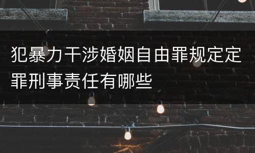 犯暴力干涉婚姻自由罪规定定罪刑事责任有哪些